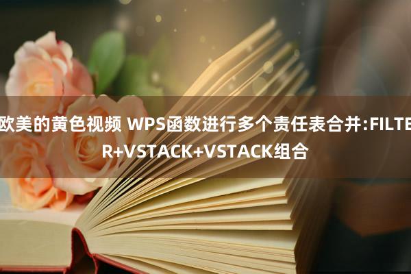欧美的黄色视频 WPS函数进行多个责任表合并:FILTER+VSTACK+VSTACK组合